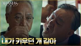 권회장에게 '벌벌 기는 개'가 된 대선 후보 황병철 | tvN 220811 방송