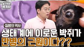 만병의 온상 = 박쥐?? 진짜 원인은 박쥐의 서식지를 위협하는 인간들?! | tvN 220809 방송