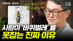 뇌가 없어도 지능이 존재할까? 뇌가 없는 인공지능, AI가 쉽게 인간의 뇌를 따라잡을 수 없는 이유 | #어쩌다어른 #편집자는