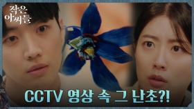 제보자 사고 현장에서 발견된 푸른 난초, 은행장 자살 현장에도 있었다! | tvN 220910 방송