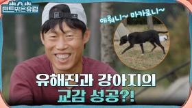 이름 모를 땐 애뤄니(?)지 ㅎ 강아지와 교감 시도하는 유해진 (ft. 아침으로는 누룽지) | tvN 220914 방송