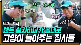 이탈리아 캠핑장에서도 나오는 집사 본능(?)🐱 텐트 설치고 뭐고 일단은 냅다 냥이랑 놀아버리는 멤버들ㅋㅋㅋ | #텐트밖은유럽 #갓구운클립