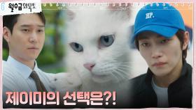 도도한 고양이 제이미, 주인 김재영 대신 고경표 품에 쏙? | tvN 220922 방송