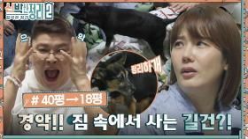 이 소장 표정 관리 실패😂 사업 시작한 길건, 그녀가 작업하는 공간의 치명적 문제점은?? (ft. 반려견) | tvN 220921 방송