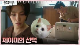 냥집사 김재영, 고경표 앞에선 순한 양 되는 제이미에 충격..! | tvN 221006 방송