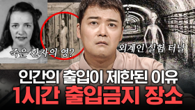 (1시간) 🚫출입 금지👻 인간에게는 허락되지 않는 유령들의 은신처? 어둠의 손길이 닿아있는 장소들 모음.zip | #프리한19 #편집자는