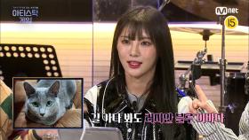 [6회] 앙큼 고양이들의 모임🐱 화기애애@.@ 음색 깡패들이 보여줄 미션 곡은? | Mnet 221114 방송