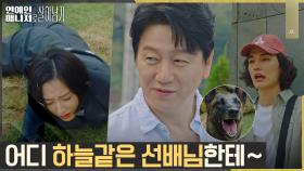 담 넘고 개 쫓기고... 곽선영의 김수로 설득기 (짬바👍🏼) | tvN 221122 방송
