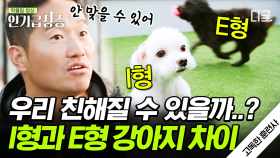 강아지들에게도 MBTI가 있다❓ 사람처럼 강아지들의 사회생활 또한 존중해야 하는 이유🐕 | #고독한훈련사 #인기급상승