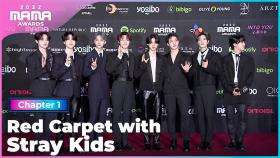 [2022 MAMA] Red Carpet with Stray Kids (스트레이 키즈) | Mnet 221129 방송