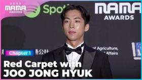 [2022 MAMA] Red Carpet with 주종혁 (JOO JONG HYUK) | Mnet 221129 방송