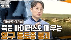 땅속에 수십만 년 동안 잠들어 있던 바이러스가 깨어난다!! 시한폭탄이 된 영구동토층 붕괴 | tvN 221129 방송