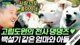 여기가 지상낙원 고립도원 ☁️ 어느날 혼자 남게 된 천사 강아지의 사연은? | #고독한훈련사 #인기급상승