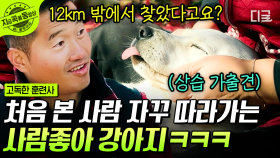 고립도원의 마스코트! 순둥이 그 자체인 순두🐶 모르는 사람 따라가서 12km나 더 떨어진 곳에서 발견된 미아 강아지 | #고독한훈련사 #지금꼭볼동영상