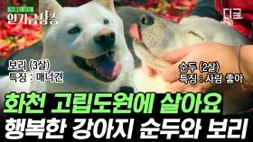 '🐶사람 좋앙💖' 말도 안 되게 순하고 사람을 잘 따르는 해피 강아쥐 순두... 바라만 보고 있어도 힐링 그 자체..🥰 | #고독한훈련사 #인기급상승