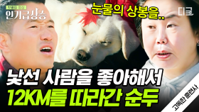 사람을 좋아해도 너~무 좋아하는 순두🐶 12km 떨어진 곳에서 우리 집 댕댕이 찾은 썰⭐ | #고독한훈련사 #인기급상승