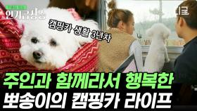 3년째 캠핑카 생활 중인 뽀송이네 가족🐶 모든 날 모든 순간 반려견과 함께라 행복했다💖 | #고독한훈련사 #인기급상승