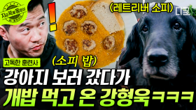 🐶🥩고기+연근으로 맛, 식감, 영양 뭐 하나 빠지지 않는 보양식 완성! 기력이 쇠한 반려견을 위한 특단의 조치! | #고독한훈련사 #지금꼭볼동영상