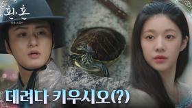 고윤정, 암행 나온 세자 신승호에 냅다 거북이 입양 추천?! | tvN 221217 방송
