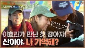 Remember me? 첫 번째로 만날 강아지, '산이'는 이효리를 알아 볼까? | tvN 221217 방송