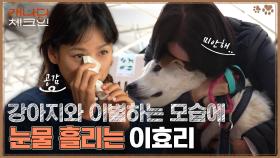 이효리의 눈물😥 임시 보호한 강아지와의 이별하는 모습에 눈물샘 폭발 ㅠㅠ 임시 보호자의 중요성! | tvN 221217 방송
