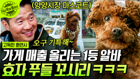 가게 매출은 내가 책임진다! 이웃 강아지랑 연애하다가 재활 성공한 약초방 알바생 꼬시리🐶 | #고독한훈련사 #지금꼭볼동영상