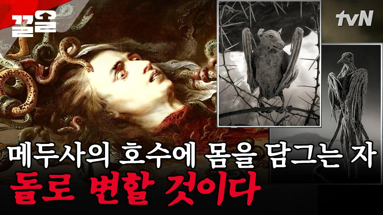 현실판 메두사의 저주🐍 호수에 닿기만 하면 돌처럼 말라죽는 동물들 | 다빈치노트 | ZUM TV