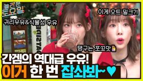 식물성 우유는 못.참.지. 고소해서 케이크랑 먹으면 얼마나 맛있게요♥ #유료광고포함 | tvN 221224 방송