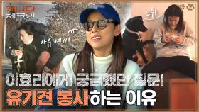 ＂세상에 도움이 되는 구나 ＂ 이효리가 유기견 봉사를 한 이유? | tvN 221224 방송