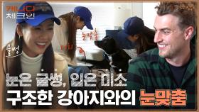 (울컥) 쓰레기통에 있던 레오를 구조한 이효리! 오랜만에 만난 레오의 반응은? | tvN 221224 방송