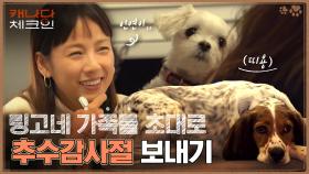 링고네 가족의 초대로 첫 추수감사절 즐기기🍗 링고는 캠퍼가 될 인연★ | tvN 221231 방송