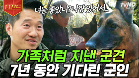 7년 동안 전우를 기다린 군인...🐶 은퇴 후 재회한 군견 '레다'와 군견병의 이야기 | #고독한훈련사 #티전드