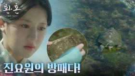 바다로 떠난 거북이, 고윤정에게 가져다준 선물!? | tvN 230107 방송