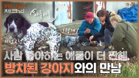 방치된 강아지와의 만남? 추위에 덜덜 떠는 모습이 눈에 밟히는 효리 ㅠㅠ | tvN 230107 방송
