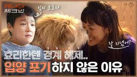 (감동) ＂라이언은 모르는 사람한테 가지 않아요＂ 그녀가 입양을 포기하지 않은 이유! | tvN 230107 방송