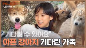 ＂기다릴 수 있어요＂ 아픈 강아지 라이언을 끝까지 기다린 현재 가족들😥 #유료광고포함 | tvN 230107 방송