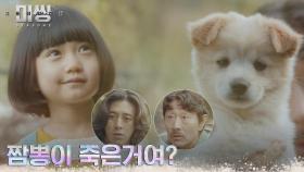 (귀여움x귀여움♡) 앨리스 품에 안긴 강아지의 정체는 짬뽕이?! | tvN 230109 방송