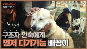 (뭉클) 인숙에게 먼저 다가가는 빼꼼ㅠㅠ 키우던 반려견이 떠난 후 나타난 강아지! | tvN 230114 방송