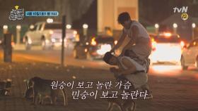 [선공개] 원숭이한테도 소매치기당하는 쭈구리 타이브라더스... | tvN 180410 방송