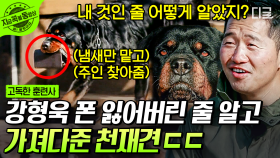 ＂가서 커피 좀 가져다줘~＂ 커피에 휴대폰까지?! 심부름 마스터한 천재견 코리🐶 | #고독한훈련사 #지금꼭볼동영상