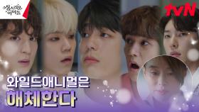 벼랑 끝에 몰린 5년차 아이돌 와일드애니멀, 결국 해체 위기?! | tvN 230215 방송