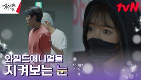 와일드애니멀의 퇴근길을 지켜보는 고보결의 정체는?! | tvN 230215 방송