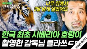 한국 최초 시베리아 호랑이를 촬영한 감독님🐯 자연 속에 스며들기 위한 그의 노력 | #고독한훈련사 #인기급상승