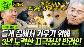 고독한 훈련사에 등장한 고독한 들개🐕 어느 날 산에서 나타난 누렁이! 정성으로 돌본 자유 영혼 강쥐💨 | #고독한훈련사 #지금꼭볼동영상