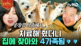 내 인생을 망치러 온 나의 강아지들🐶 우울증에 빠져있을 때 위로와 응원을 준 아이들✨ 진정한 가족이 된 지금 | #고독한훈련사 #티전드