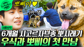 다가오지 마! 근데 멀어지지는 마…🙄 겁 많은 시골 강아지가 정유미&최우식이랑 친해지는 과정🐶 | #여름방학 #지금꼭볼동영상