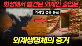 지구에 온 외계인의 기록이 전해 내려온다?!👽 수많은 외계인 & UFO 목격담! 외계인 실존 증거 모음👾 | #프리한19 (110분)