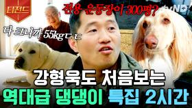 (힐링 버튼🐾) 머슬멍 55kg 반부터 공군 군견 레다까지💛 강형욱도 놀라게 한 레전드 반려견 모음🐶 | #고독한훈련사 #티전드