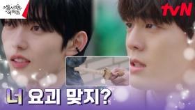 김민규, 요괴 의심되는 아이돌에 복숭아나무 칼로 찔러보기☞ | tvN 230309 방송