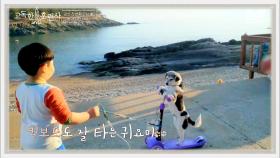 우리 강아지 이제 킥보드를 타요...★ 선유도의 해삼 잡는 강아지 ＂귀요미＂ ! | tvN STORY 230309 방송